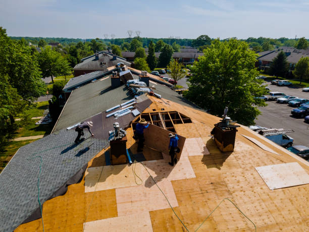 Trusted Storm Damage Roof Repair service in Courtland, MN - Brentwood Metal Roofing